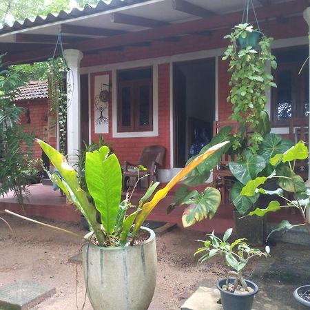 Angry Birds Homestay Хабарана Номер фото