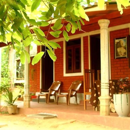Angry Birds Homestay Хабарана Экстерьер фото
