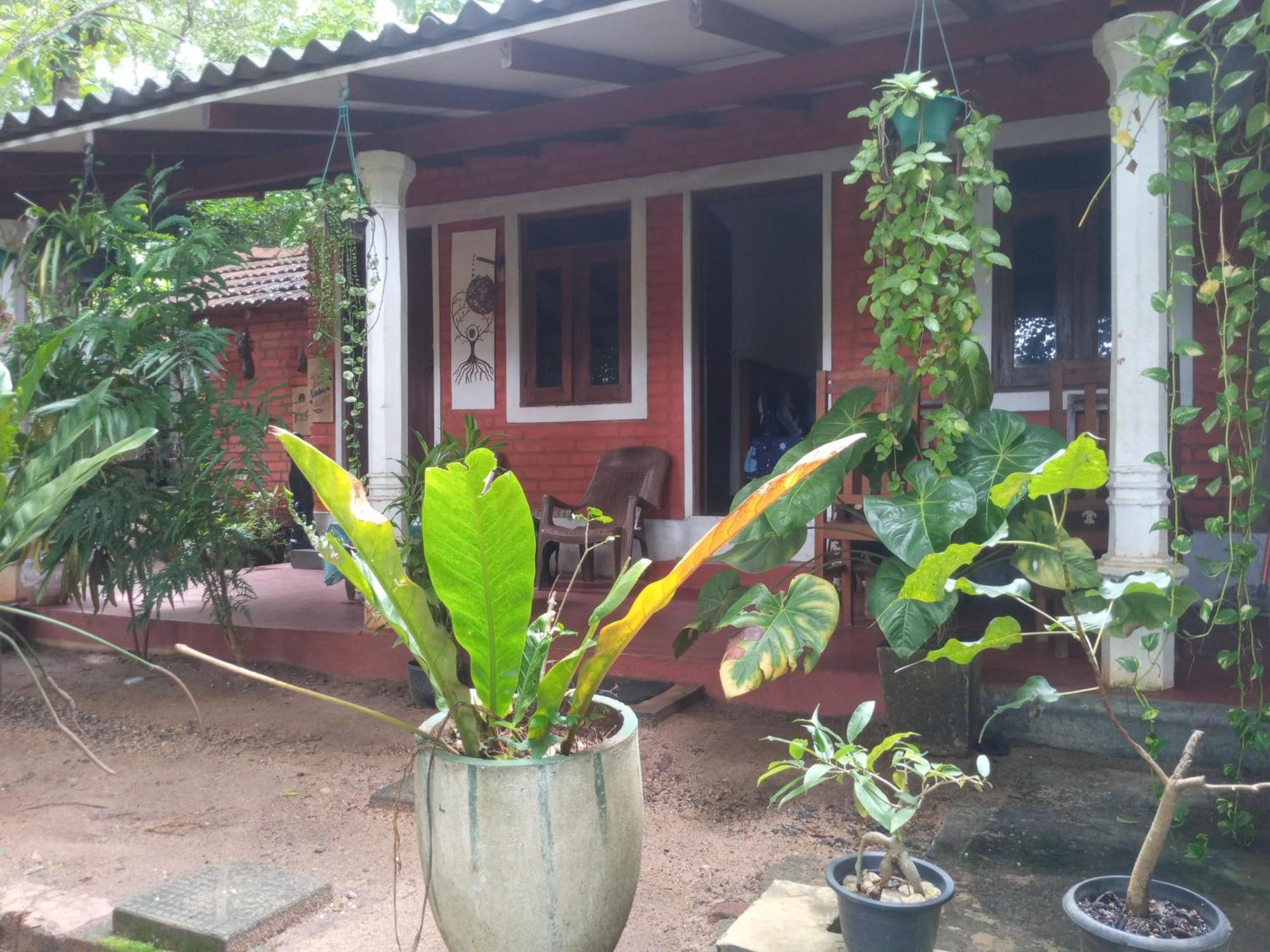 Angry Birds Homestay Хабарана Номер фото