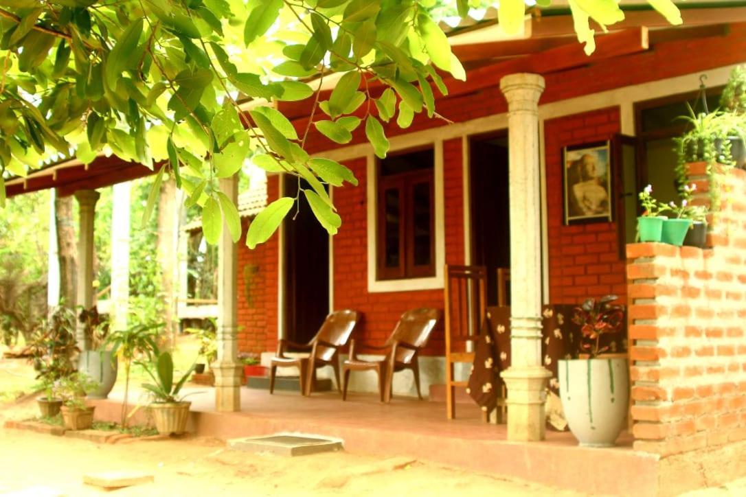 Angry Birds Homestay Хабарана Экстерьер фото