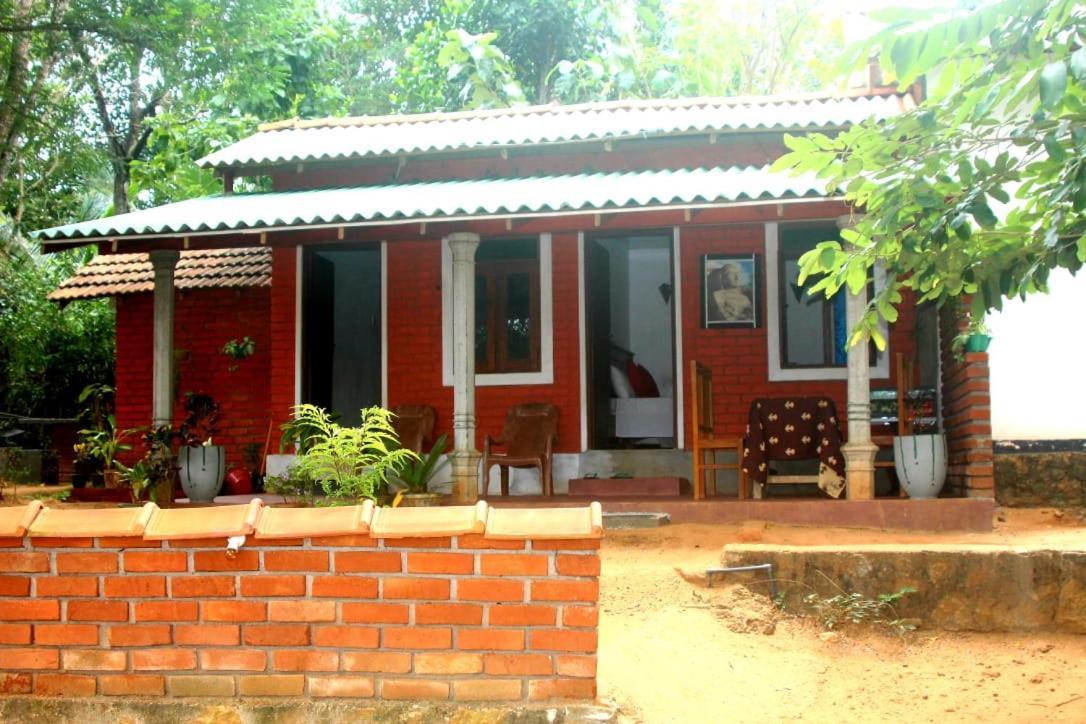 Angry Birds Homestay Хабарана Экстерьер фото